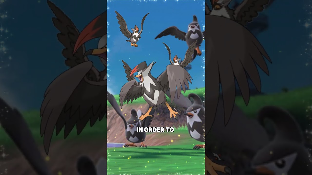 Staraptor Facts and Lore 🦅 