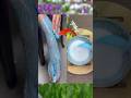 🔥Salon Like Pedicure At home How To Get Fair Feet,Remove Tanning #viral #ytshorts