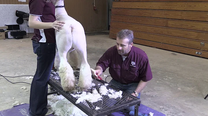 Shawn Ramsey - Managing 4H Sheep & Goat Projects -...