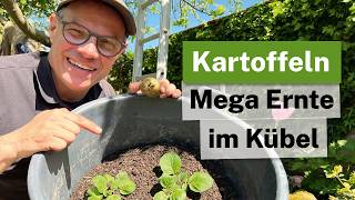 Kartoffel-Ernte vom Balkon: So einfach geht Kübel-Gärtnern! 🥔