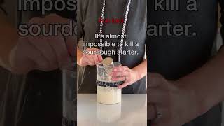 Dont throw out that sourdough starter!