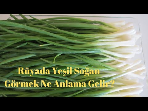 Rüyada Yeşil Soğan Görmek Ne Anlama Gelir?