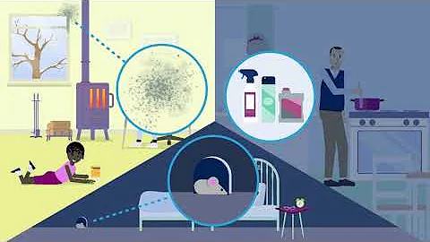 Healthy and Efficient Homes: Steps to Protect Your Family from Indoor Air Pollution