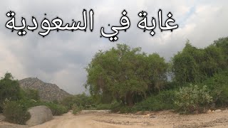 رحلتنا الى جبل هروب / وادي رزان