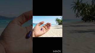 Magic: 👉 "The Choice Is Yours 💊 | Purple Pill on Tropical Beach #Shorts" #travel #taipei
