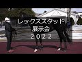 【2022】レックススタッド展示会（ウオッカの仔タニノフランケルなど23頭）