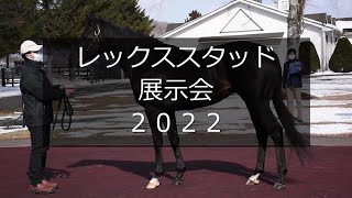 【2022】レックススタッド展示会（ウオッカの仔タニノフランケルなど23頭）