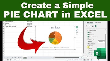Create and Format a Simple PIE CHART in EXCEL (Easy for Beginners)