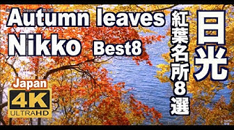 紅葉 Youtube
