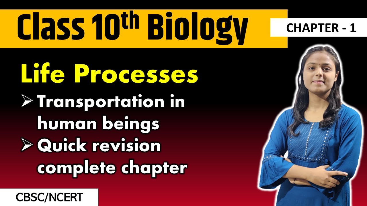 Class 10th biology | Life Process | Quick revision | Transportation in ...