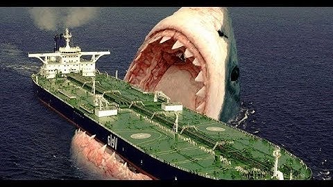 NVP- Cá Mập Khổng Lồ Megalodon Có Thực Sự Còn Tồn Tại ?