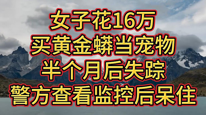女子花16萬買黃金蟒當寵物，半個月後失蹤，警方查看監控後呆住#民間故事#孝顺#儿女#讀書#養生#情感故事#房产#晚年哲理#中老年心語#養老#真實故事