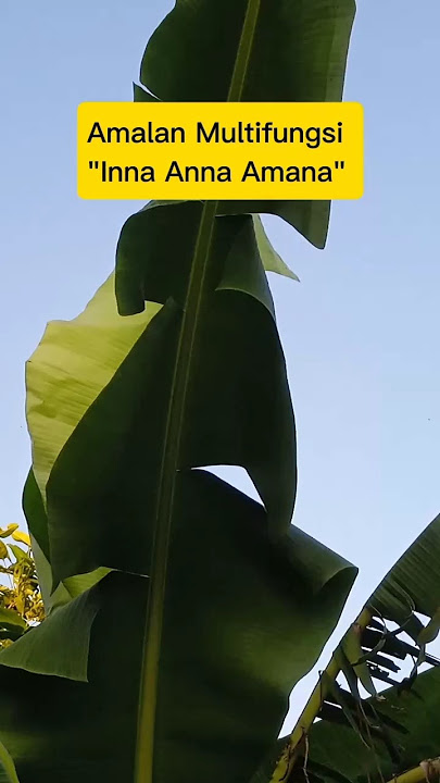 Doa | Amalan Multifungsi 'Inna Anna Amana'