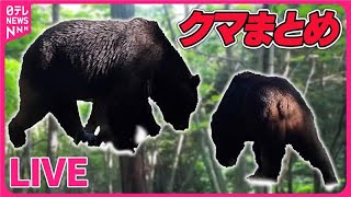 【クマ出没ニュース】都内でもクマ目撃情報 / 環境省が緊急支援へ　各地でクマによる被害相次ぐ/ 「逃げて！」各地でクマによる被害相次ぐ　など　ニュースまとめライブ（日テレNEWS LIVE）