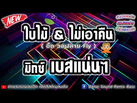 อี๊ด วงฟลาย Fly - ใบไม้ | ไม่เอาคืน【มิกซ์เบสแน่นๆ】Danai Sounds Remix Bass