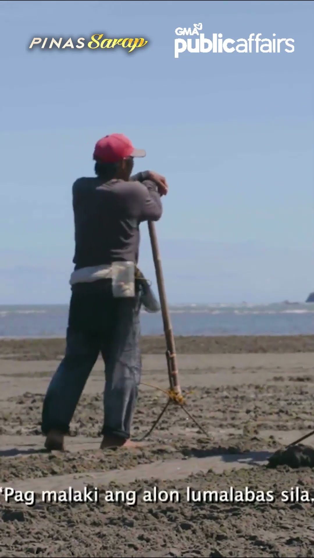 Pag may tiyaga, may cagaycay shell na makukuha! #shorts | Pinas Sarap