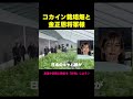 ヤマトリノに憧れてコカイン栽培している金正恩将軍様（ジョーク）