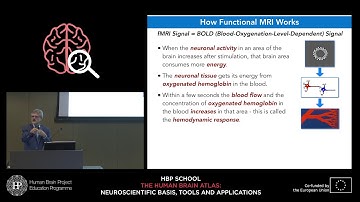 Goebel Rainer - Resolving activity in cortical columns and cortical layers in the human brain (...)