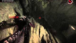 Evolve - Typical Wraith Game Post-Nerf