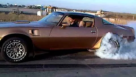 78 Special gold edition Trans am burnout!