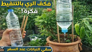 فكرة عبقرية لسقي النباتات 🍀✨ عند السفر! ✈️ حيلة ذكية بصفر درهم لن تخطر على بالك 🤯 زراعة الأسطح