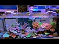 This awesome reef tank thrives on the basics