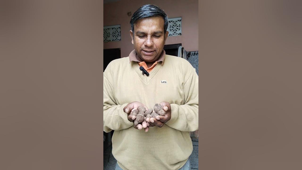 sabji Ka Naam Bataen YouTube sabji-ka-naam-bataen-youtube
