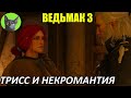 Ведьмак 3 - Альтернатива - Трисс и некромантия