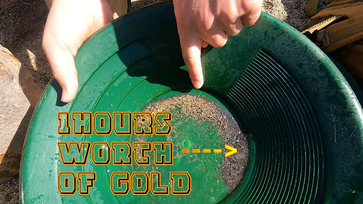 How much MONEY can you make in 1 HOUR of GOLD PANNING!