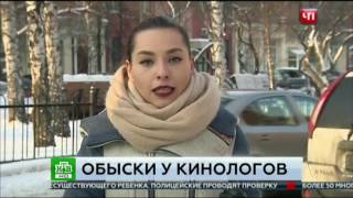 Путин не на шутку разозлился на кинологов за Юмэ ! Путин не на шутку разозлился на кинологов за Юмэ !