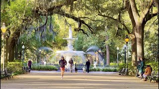 Most Beautiful and Famous Park in Savannah - Forsyth Park by Lvfree Adventures 552 views 21 hours ago 9 minutes, 49 seconds