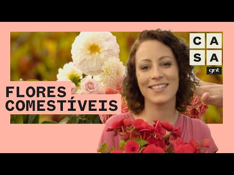 Vídeo: Quais Flores Comestíveis Podem Ser Cultivadas No Local?