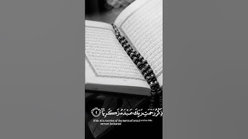 [كٓهيعٓصٓ].  سورة مريم قراءة هادئة ومريحة للقلب الشيخ شريف مصطفى #قرآن_كريم #قرآن #آيات #هدوء