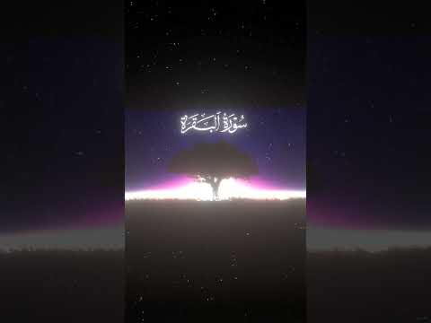 سورة البقرة 165 القارئ محمد اللحيدان قران  قران كريم تلاوة تلاوة هادئة آية تلاوة خاشعة