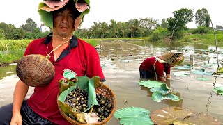 Process Harvesting Snails & coconut in farm - Boiled snails - Cooking for lunch