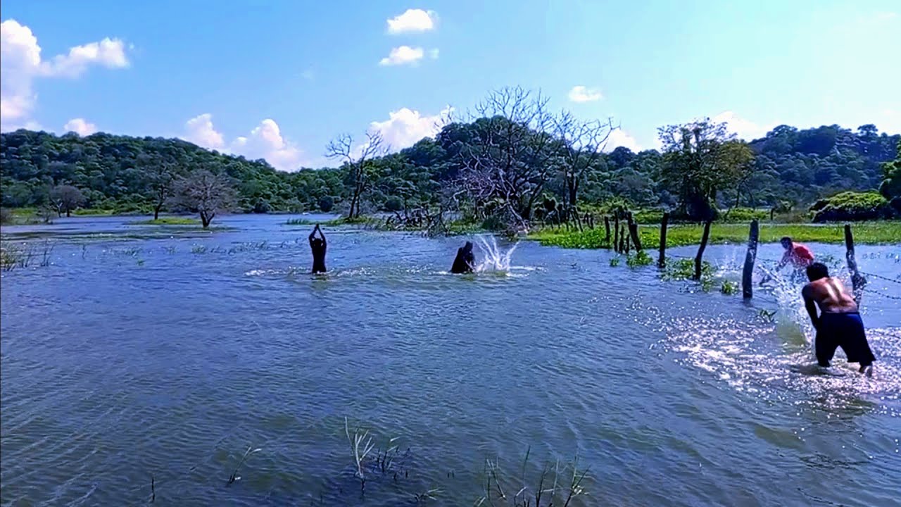 හඹා ගොස් ඇල්ලූ මාළු🙋‍♂️🍁☘️🌱