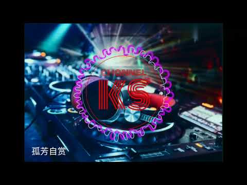 lagu mandarin丨孤芳自赏