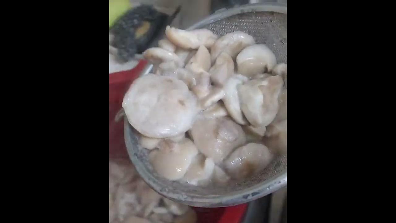 Маслята соленые - YouTube