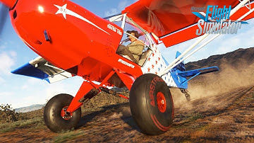 Microsoft Flight Simulator | Trent Palmer