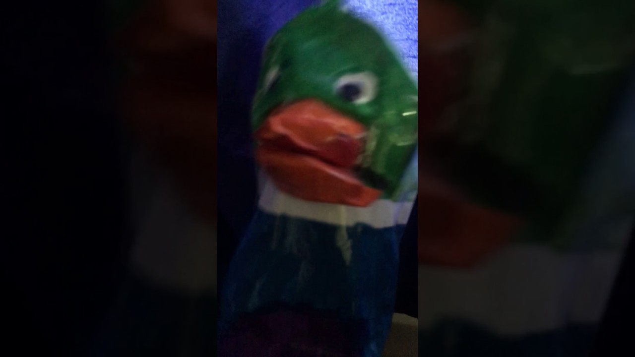 Baby Vivaldi Duck Puppet - YouTube