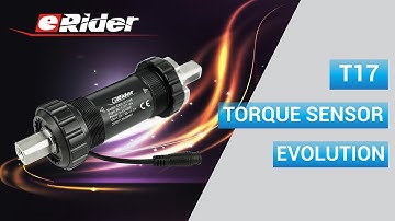eRider | eBike Torque Sensor Evolution -  eRider T9 / T17 Torque Sensor Install Video