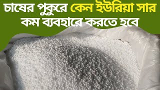 Katta semiz xoroz bilan jinsiy aloqada bolgan bokira video Qizlar etik bilan oyoq osti qilish video