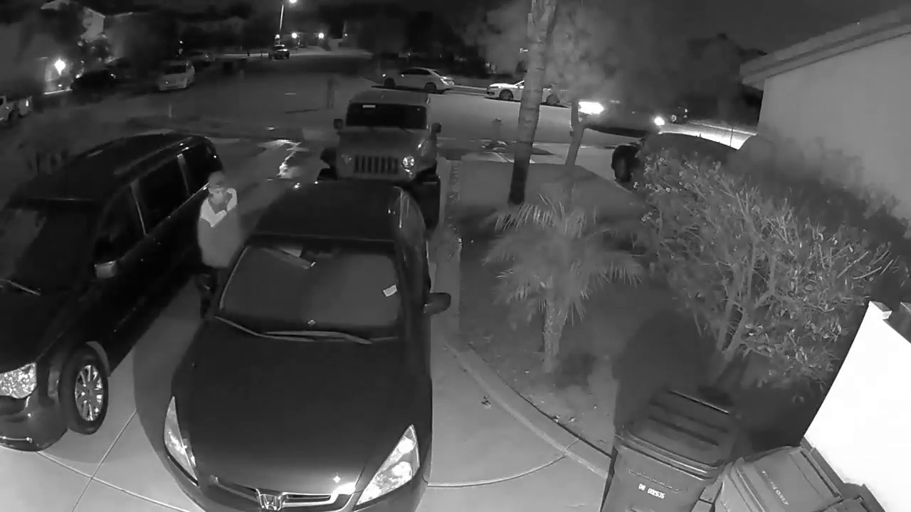 Detectives Seek Public’s Help in Identifying 459 Suspects - YouTube