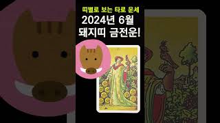 6월, 금전운 띠별운세! 12가지 띠별로 보는 6월 한달 돈복! 돼지띠분들의 6월한달금전운!
