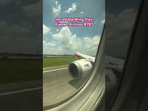 B787 Insane Wing