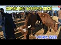 ХОРАЗМ МОЛ БОЗОРИ 2-КИСМ  7-ОКТАБРЬ