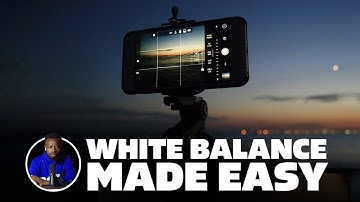 The Truth About White Balance: Your Camera Is Guessing!