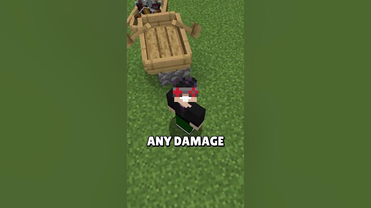 Pillagers Are FRIENDLY Now? minecraft YouTube