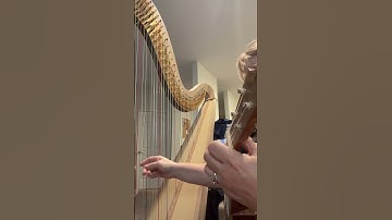 Silent Lucidity- harp and uke at the same time -￼ ‘cause why not ￼