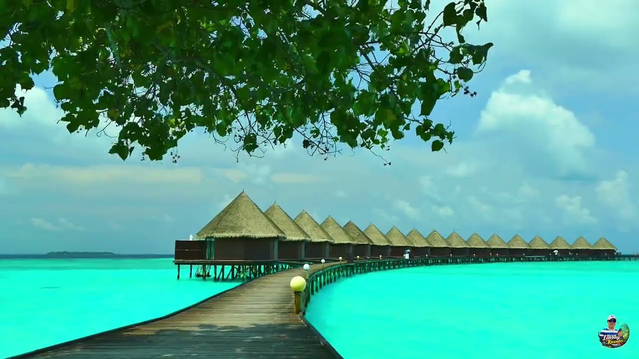 🌿🌿Whispers of Nature: The World’s Most Breathtaking Views🌿🌿